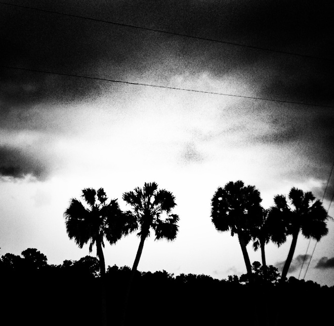 Micanopy, FL 2014, iPhone4s